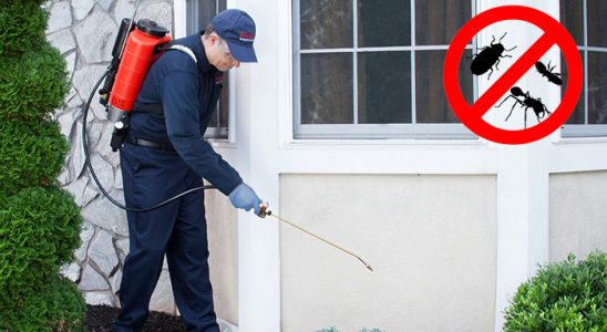 Gölbaşı Akrep İlaçlama böcek ilaçlama ve haşere kontrolü — ilaclama-tr.com